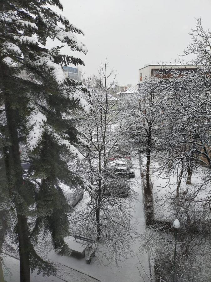 Cozy Family Apartments Брашов Екстериор снимка